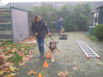 TTouch balans grongwerk met Ayla